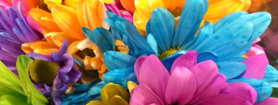 FICHERO DE FLORES 2